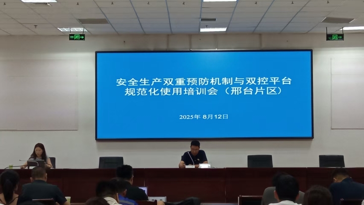 精准开展安全双控帮扶指导  全面提升企业安全管理能力